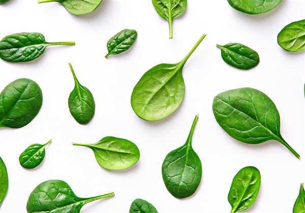 Imagem com fundo branco e diversa folhas de espinafre espalhadas