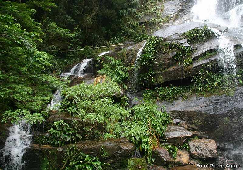cachoeiras rio floresta da tijuca