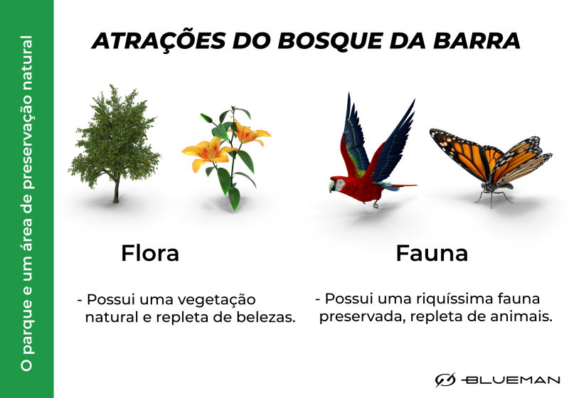 infográfico com atrações de fauna e flora do bosque da barra da tijuca