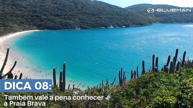 Conheca a Praia Brava Vista aérea de praia.