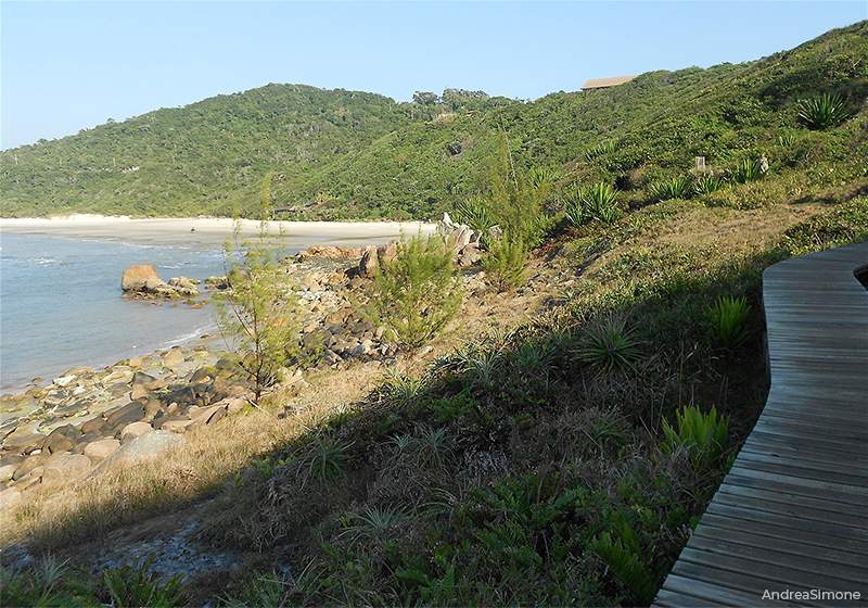 Praia do Rosa Imbituba