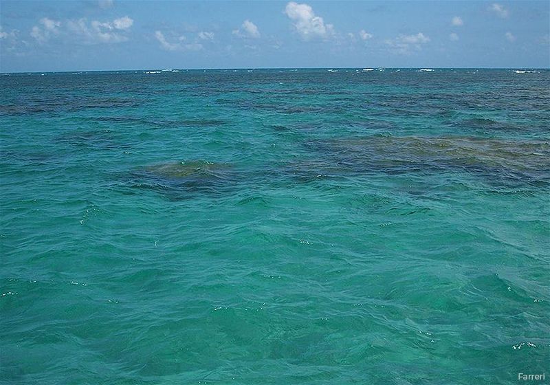 Praia Parrachos de Maracajau em Maxaranguape